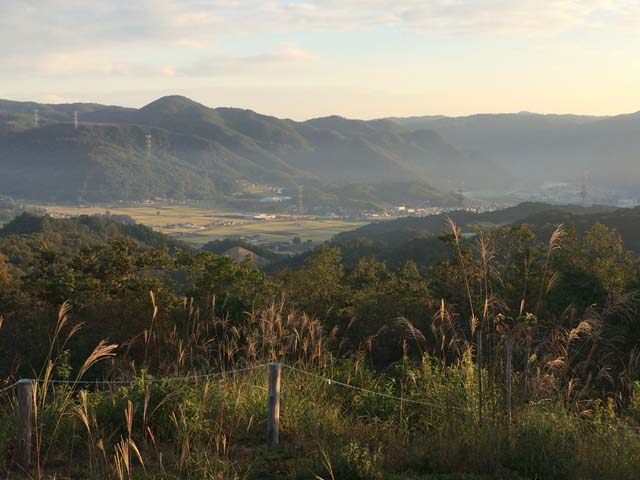 あれこれの画像−１