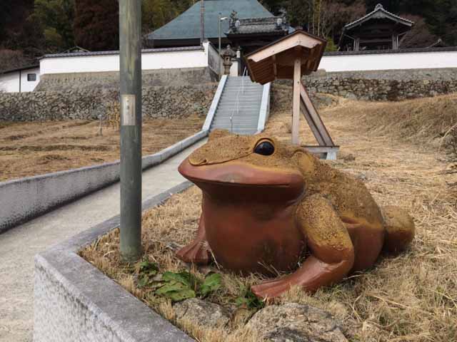 今月の山行画像−１