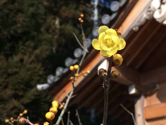 和気アルプス−9