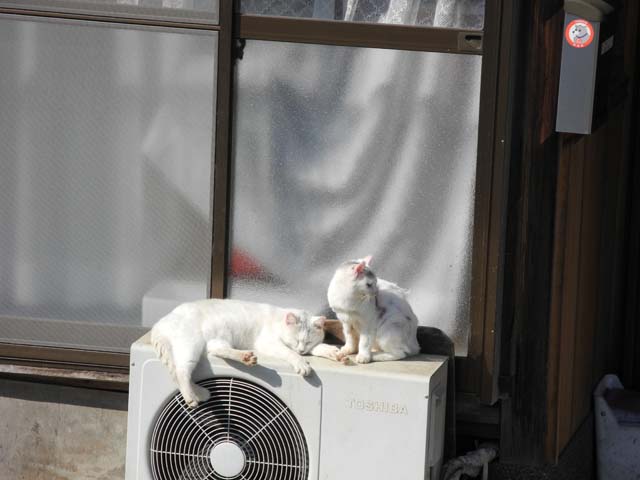 片鉄ロマン街道−9