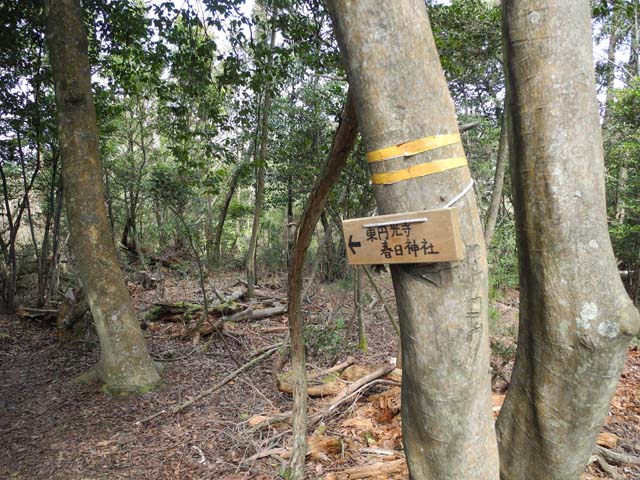 外国−4