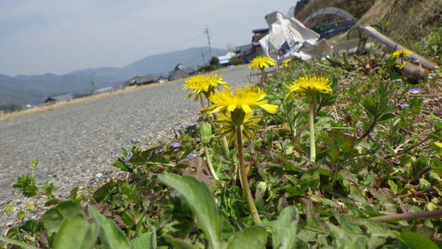 新着情報画像