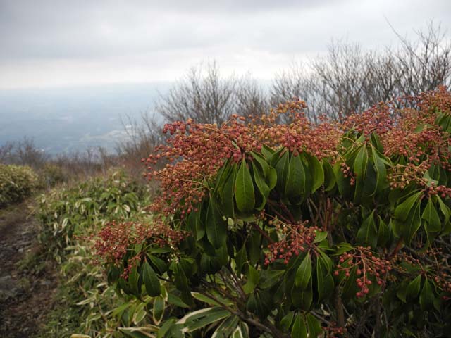 那岐山−5