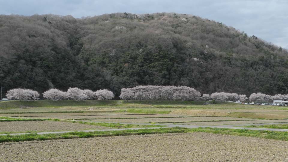 新着情報画像