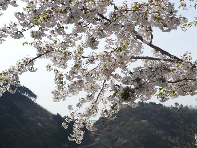那岐山−１