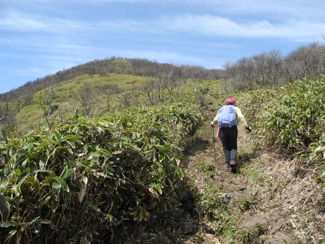 那岐山−１