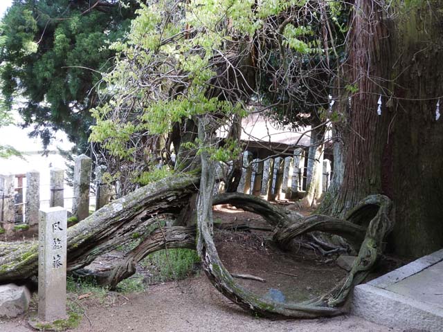 矢筈山−１