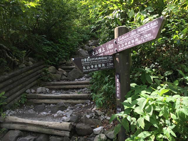大山−4