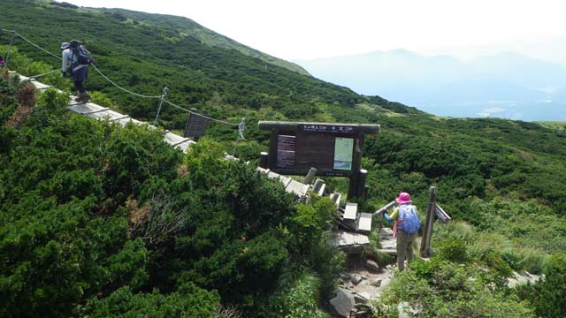 大山−8