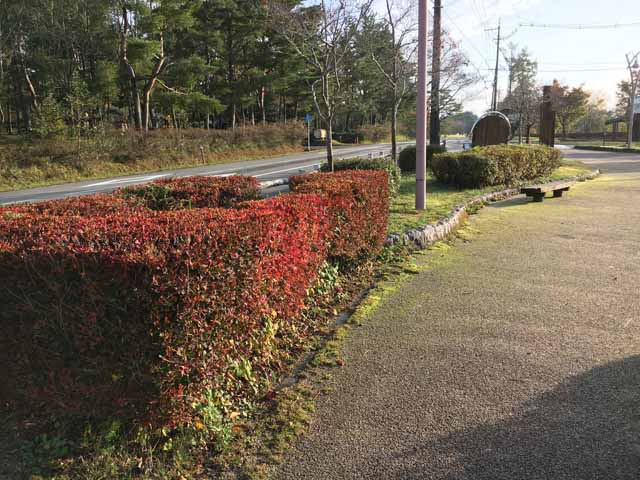 中・上蒜山−１