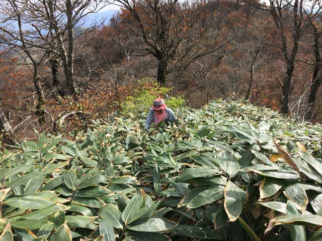 中・上蒜山−6