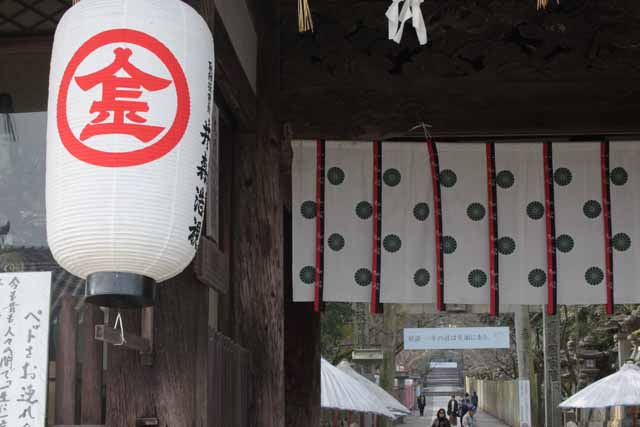 四国旅−3