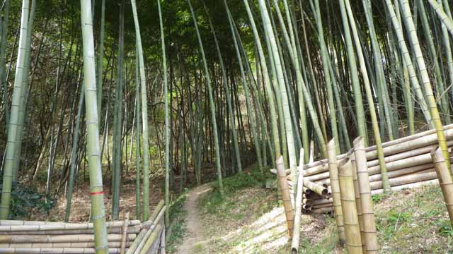 沙美アルプス−2