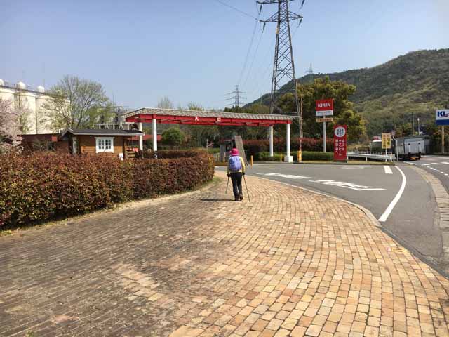 17初日の出の画像−１
