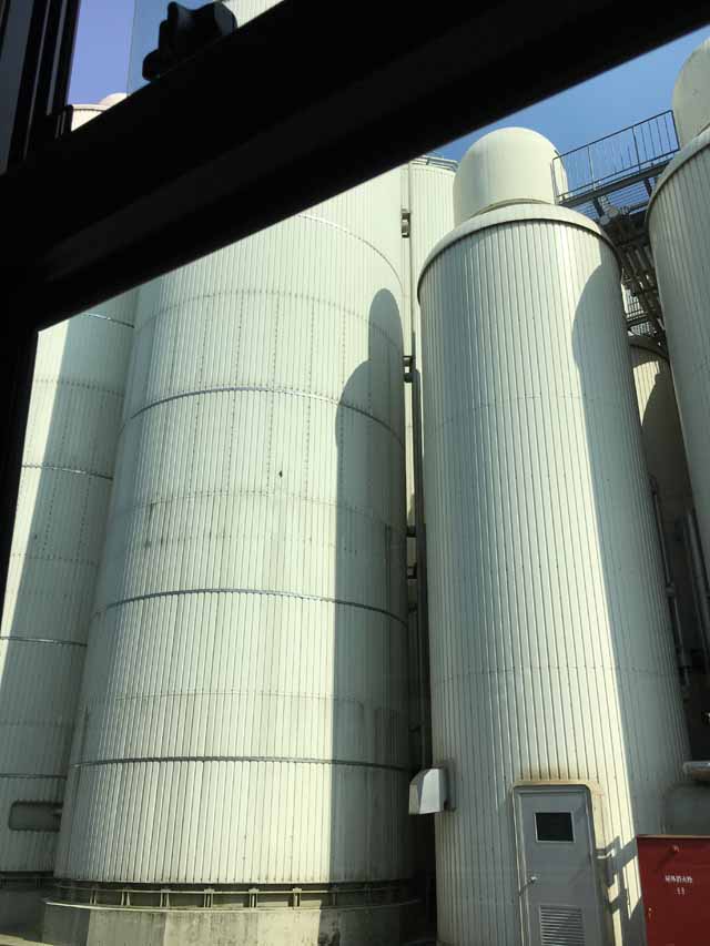 17初日の出の画像−１