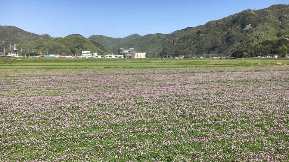 新着情報画像