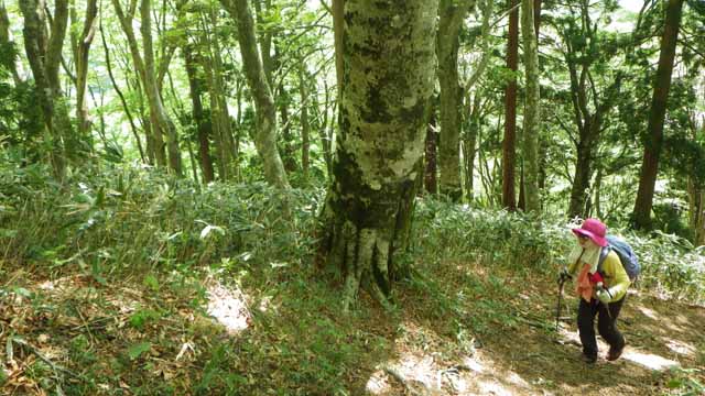 毛無山−3