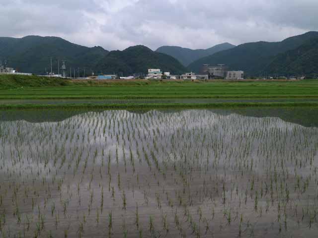 新着情報画像