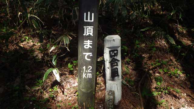 毛無山−4