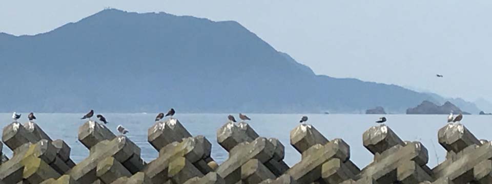 岡山・和気の山行記録
