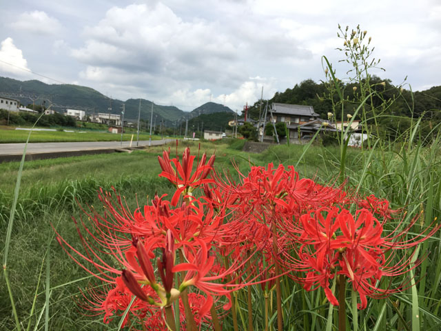 新着情報画像