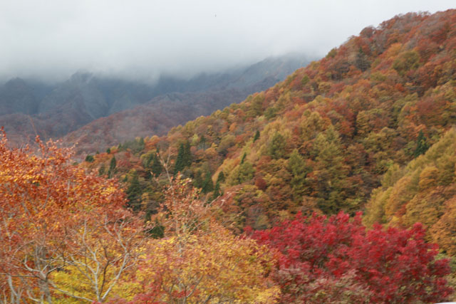 大山・蒜山-１