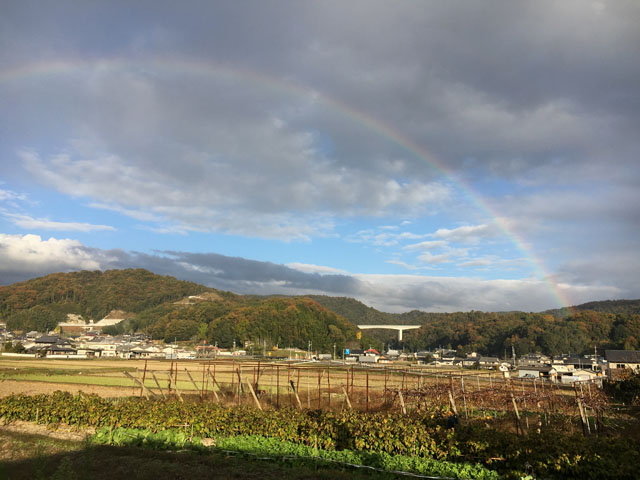 新着情報画像