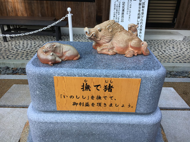 新着情報画像