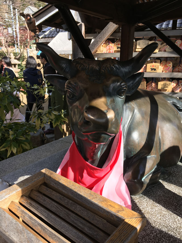 毛無山−6