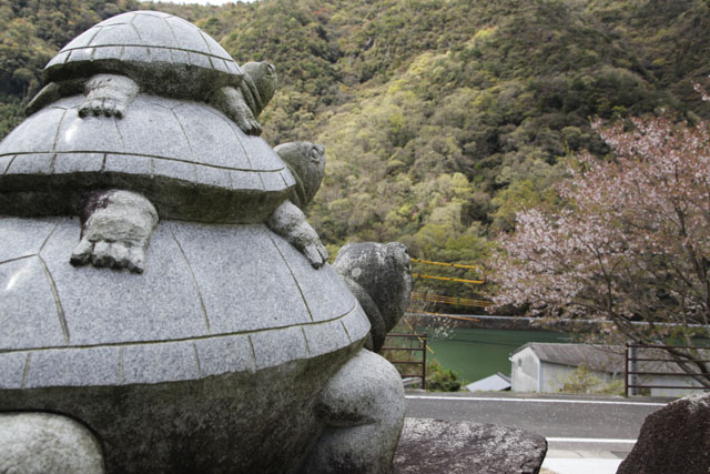 20亀画像−１