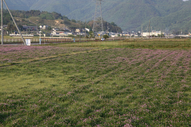 新着情報画像