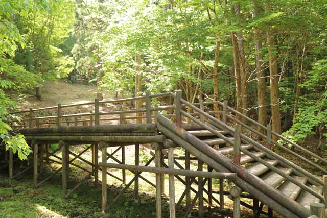 駒の尾山-2