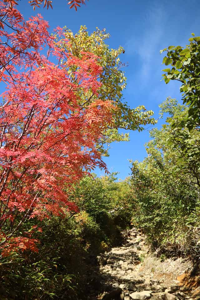 御岳山ー8
