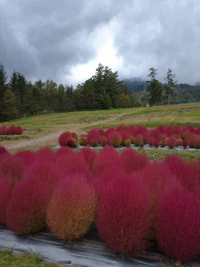 御岳山ー17