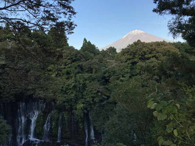 新着情報画像