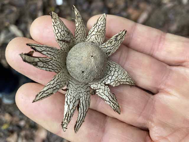 新着情報画像