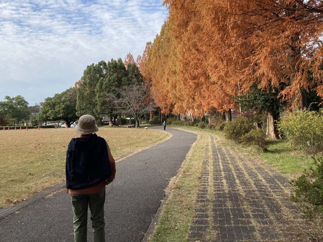 新着情報画像