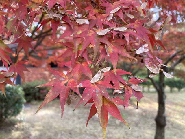 新着情報画像