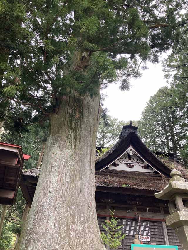 新着情報画像