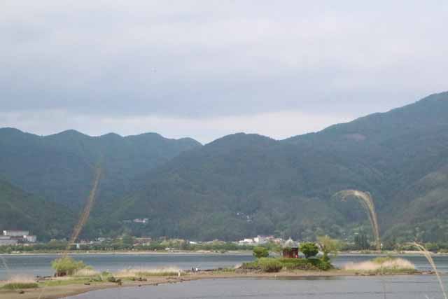 新着情報画像