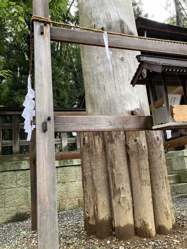 今月の山行画像−１
