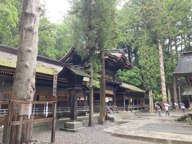 入笠山-2