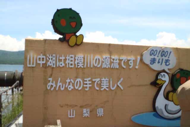 新着情報画像