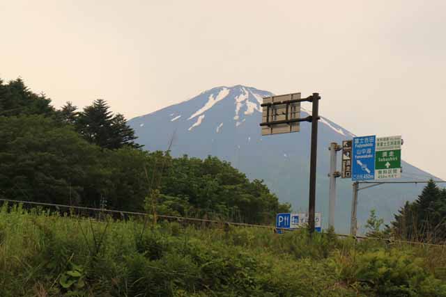 新着情報画像