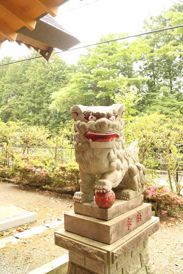 新着情報画像