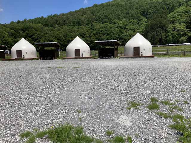 新着情報画像