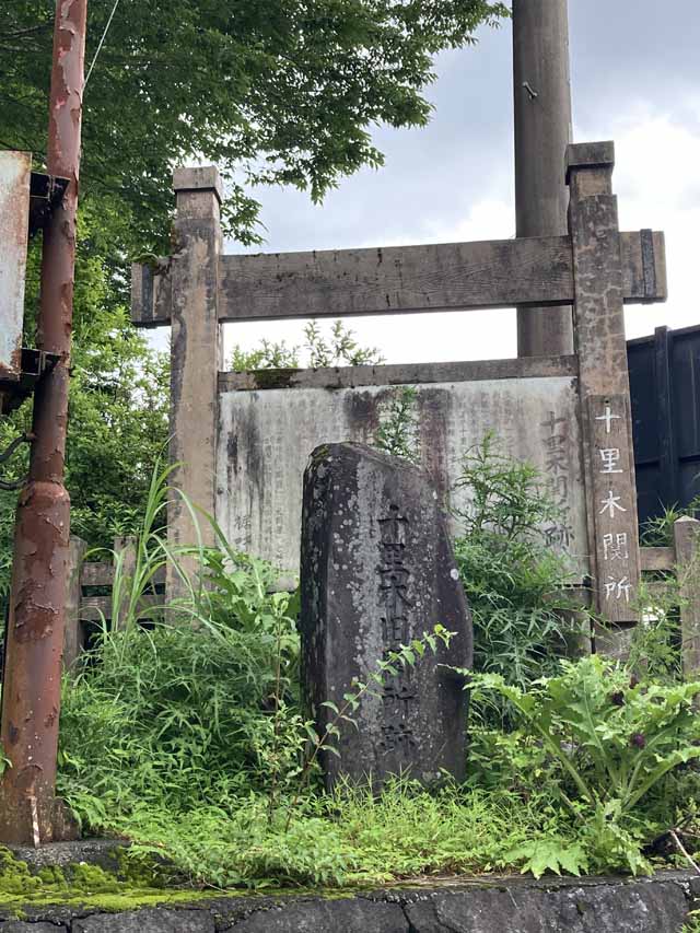 新着情報画像