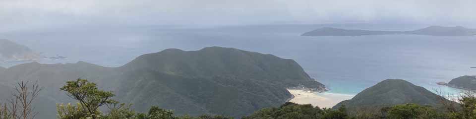 歩いて元気・記録